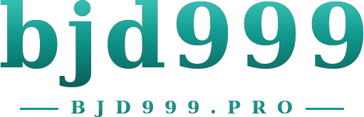 bjd999 logo
